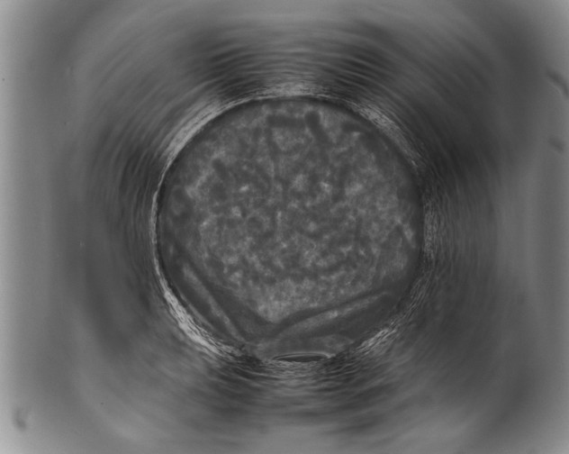 X0000100311039200806261157