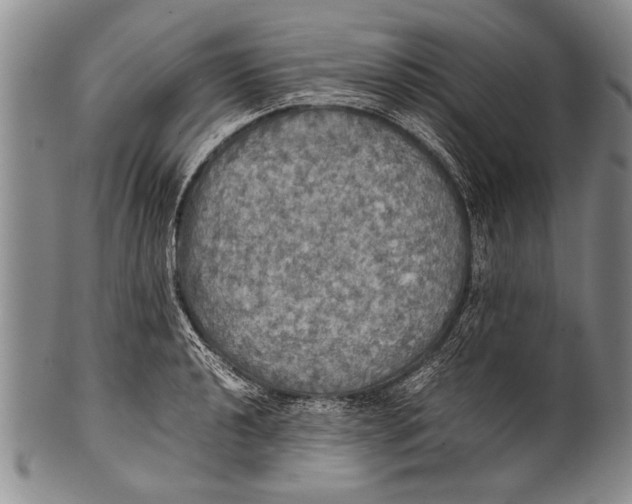 X0000100311040200806261157