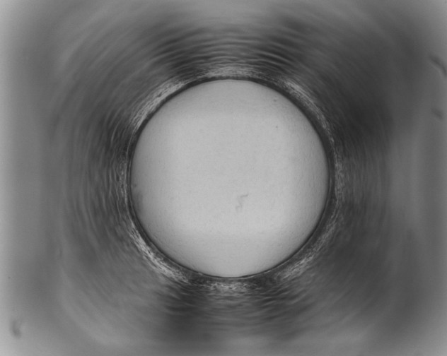 X0000100311041200806261157