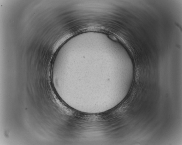 X0000100311042200806261157