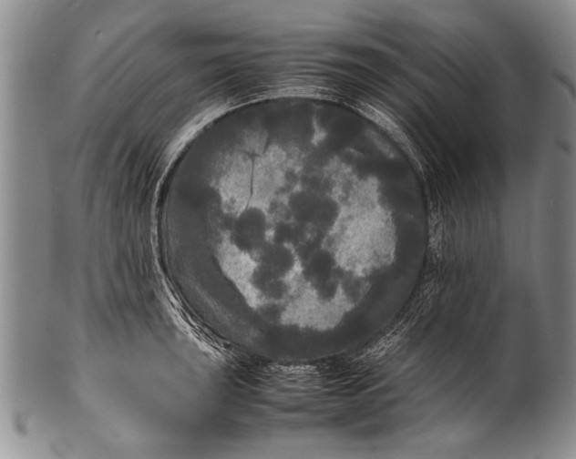 X0000100311043200806261157