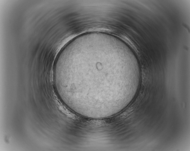 X0000100311044200806261157