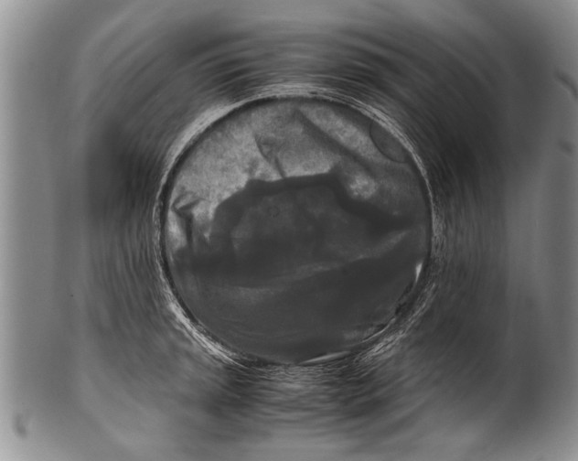 X0000100311045200806261157