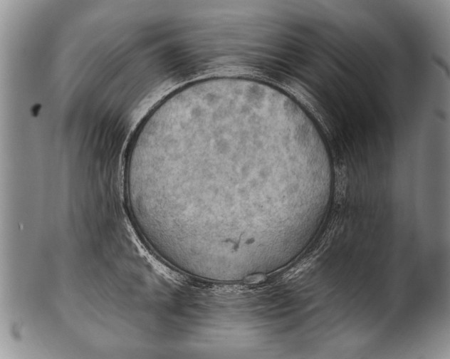 X0000100311046200806261158