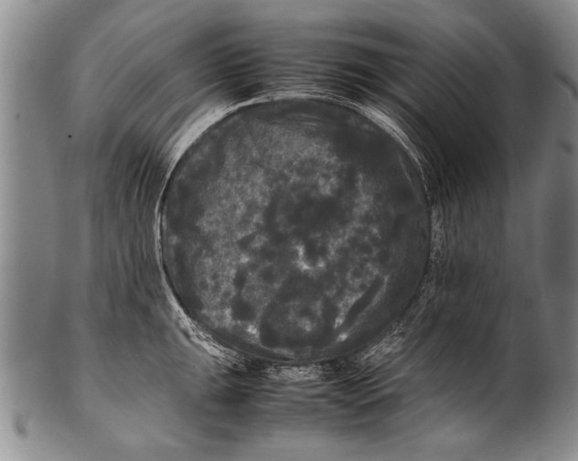 X0000100311047200806261158