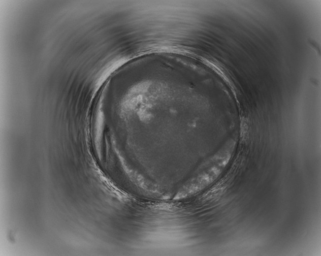 X0000100311048200806261158