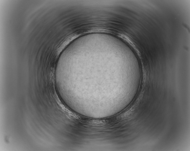 X0000100311049200806261158