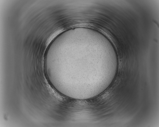 X0000100311050200806261158