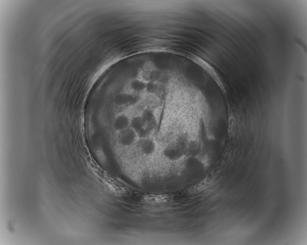 X0000100311051200806261158