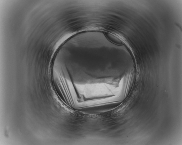 X0000100311053200806261158