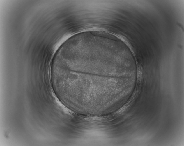 X0000100311054200806261158