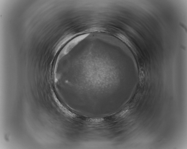 X0000100311055200806261158