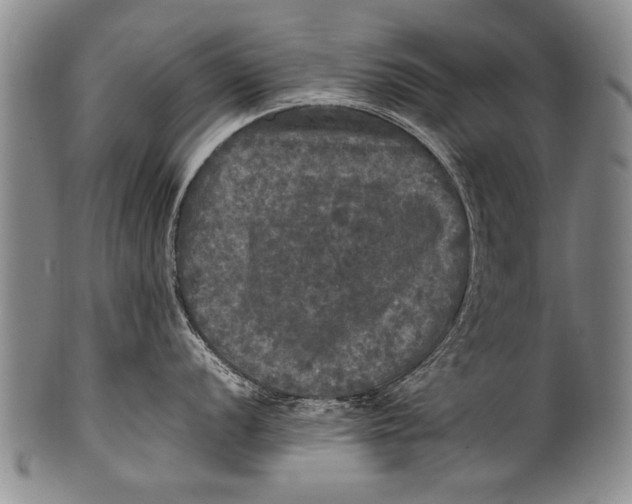 X0000100311056200806261158