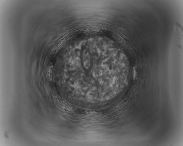 X0000100311059200806261157