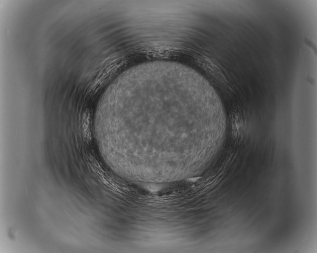 X0000100311060200806261157