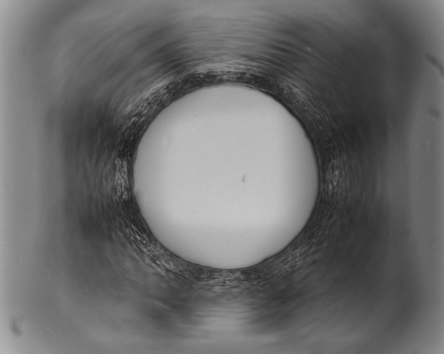 X0000100311062200806261157