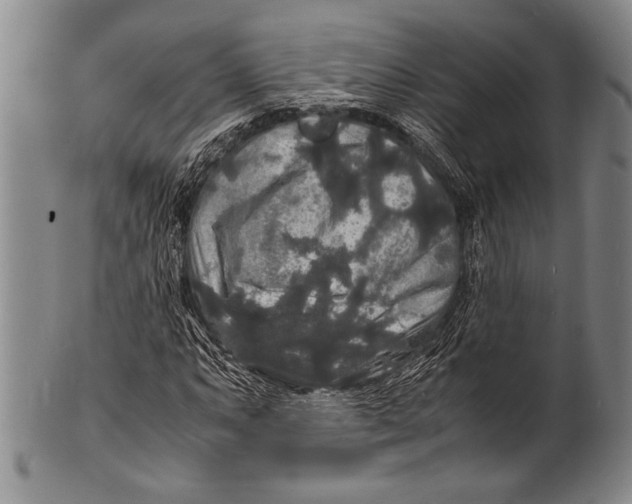 X0000100311063200806261157