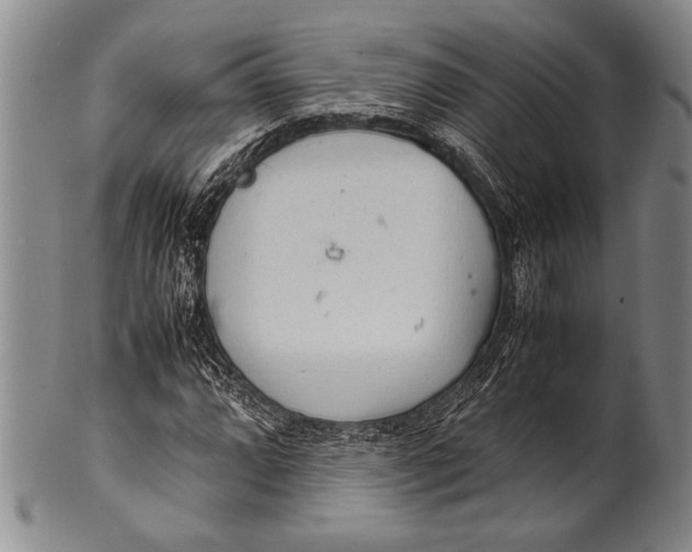 X0000100311064200806261157