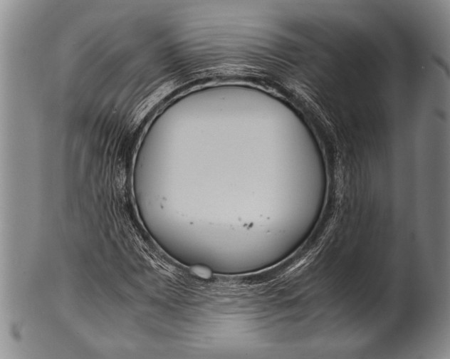 X0000100311065200806261157