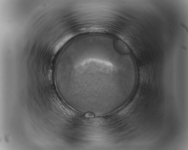 X0000100311066200806261157