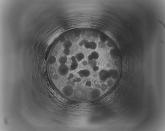 X0000100311067200806261157