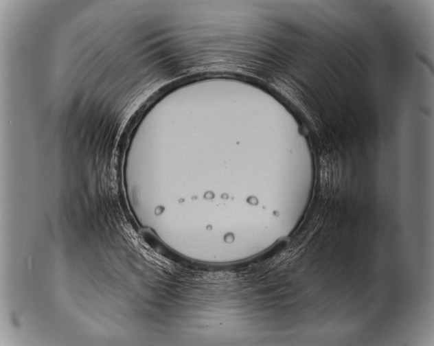 X0000100311068200806261157