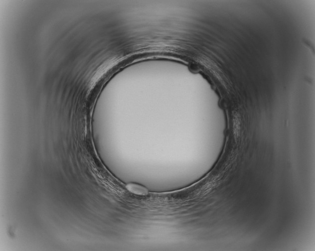 X0000100311069200806261157