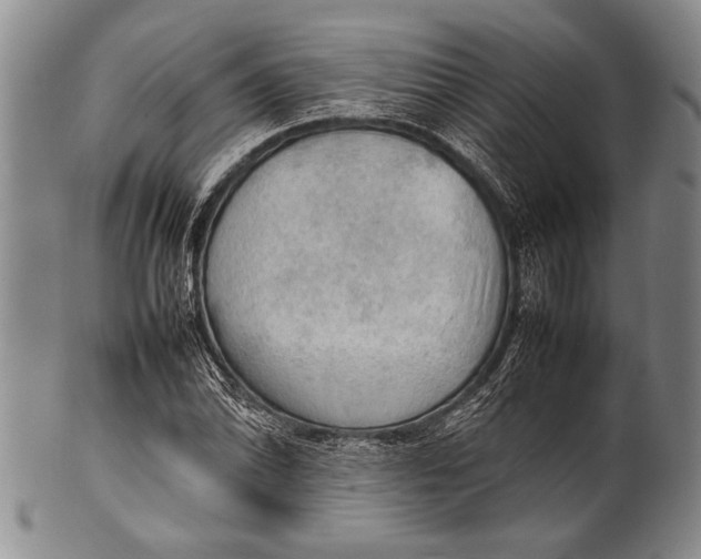 X0000100311070200806261157