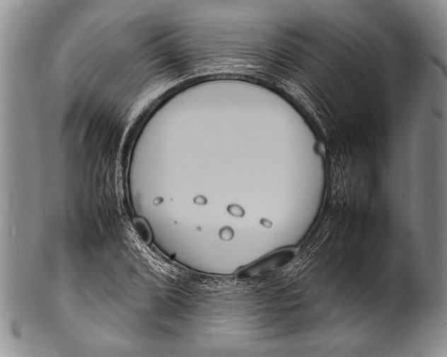 X0000100311072200806261157