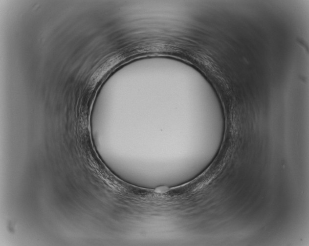 X0000100311073200806261157