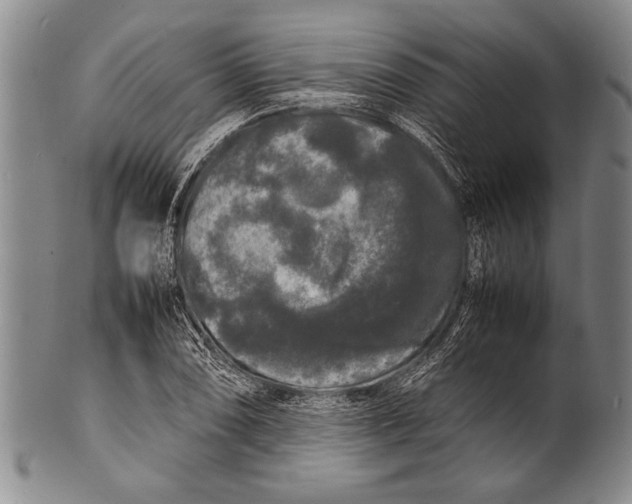 X0000100311074200806261157