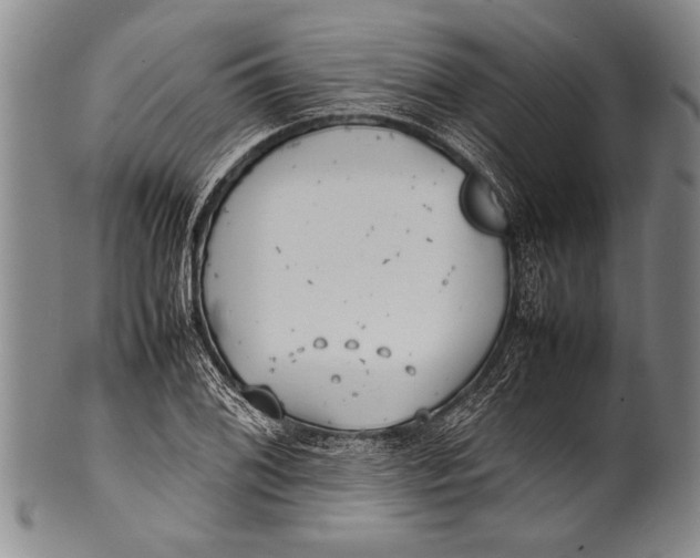 X0000100311076200806261157