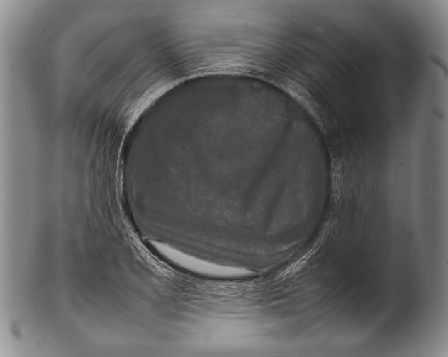 X0000100311077200806261157