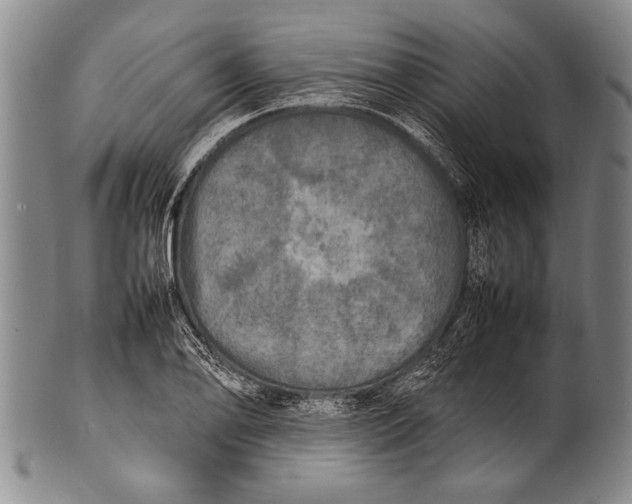 X0000100311078200806261157