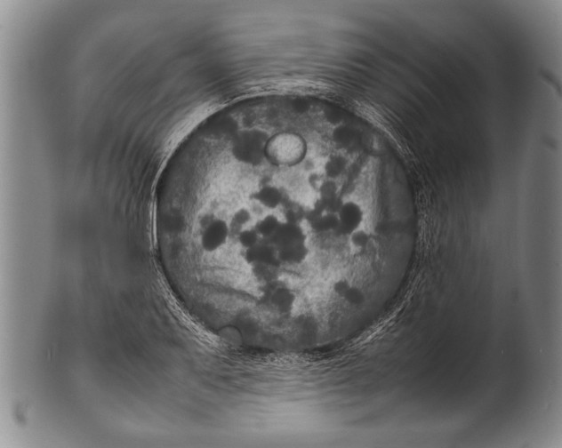 X0000100311079200806261157