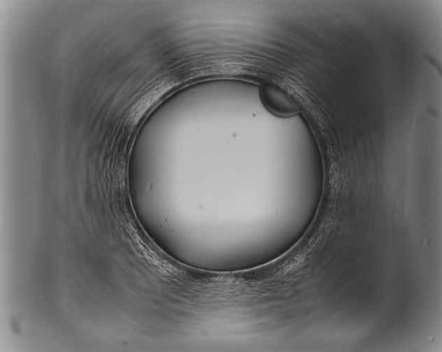 X0000100311081200806261157