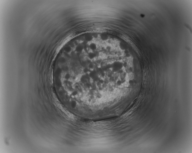 X0000100311083200806261157