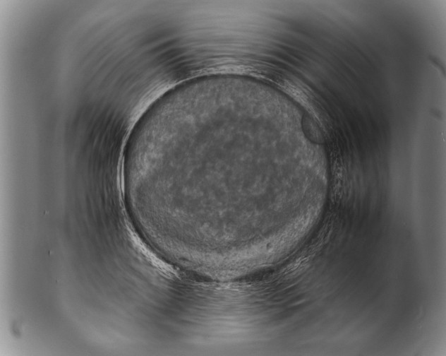 X0000100311084200806261157