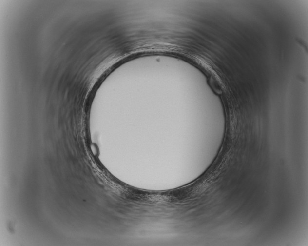 X0000100311085200806261157