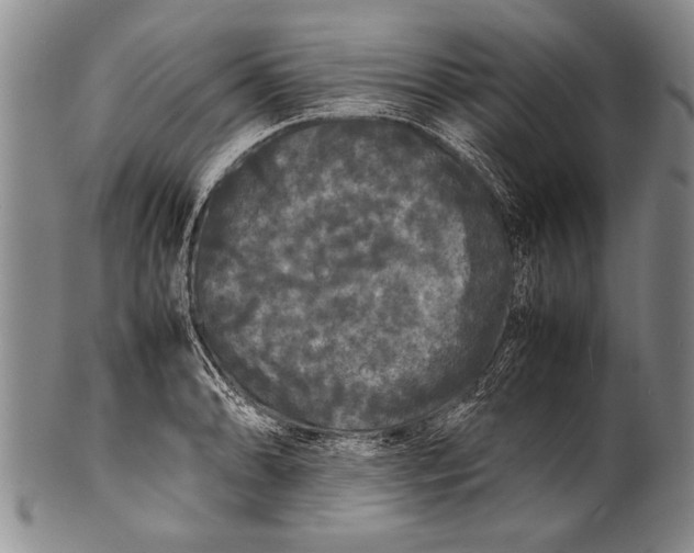 X0000100311086200806261157