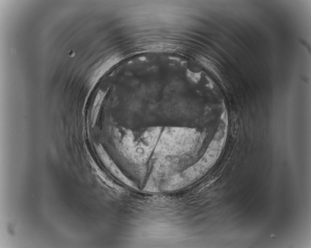 X0000100311087200806261157