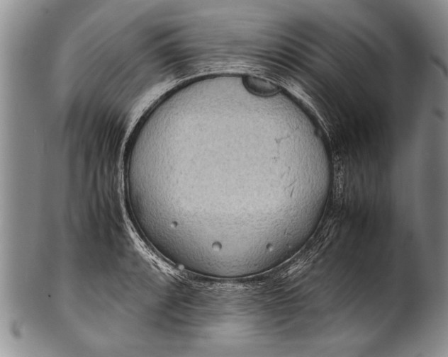 X0000100311088200806261157