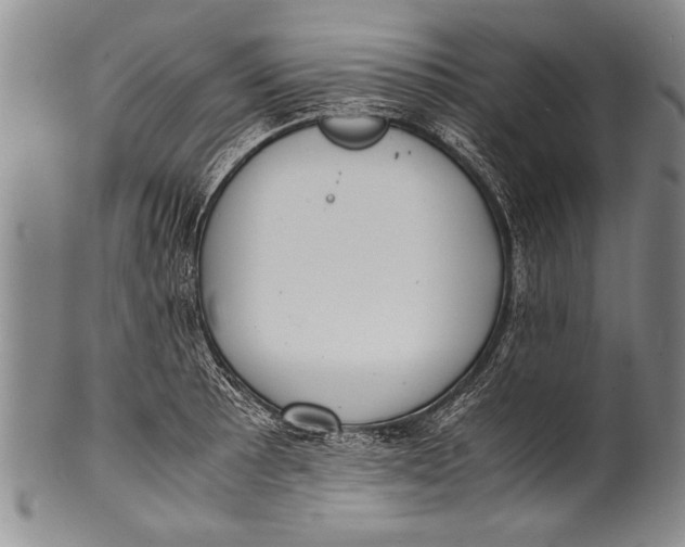 X0000100311089200806261157