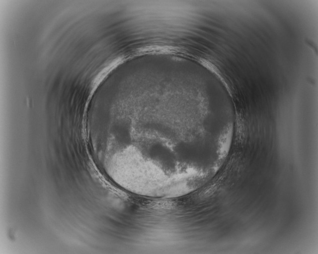 X0000100311090200806261157