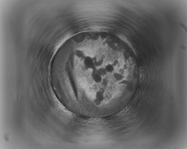 X0000100311091200806261156