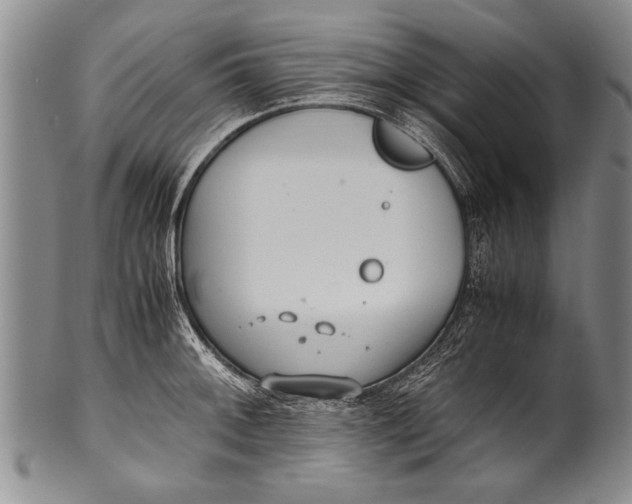 X0000100311092200806261156