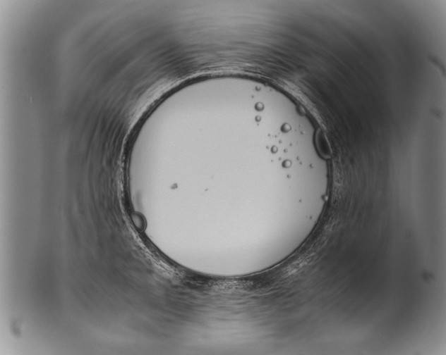 X0000100311093200806261156