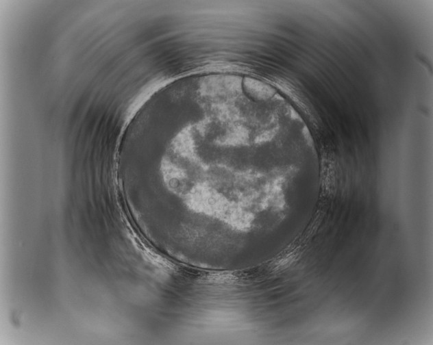 X0000100311094200806261156