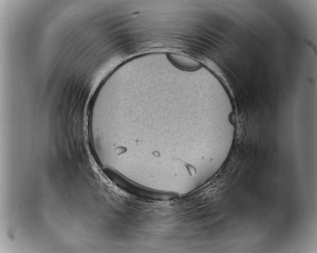 X0000100311096200806261156