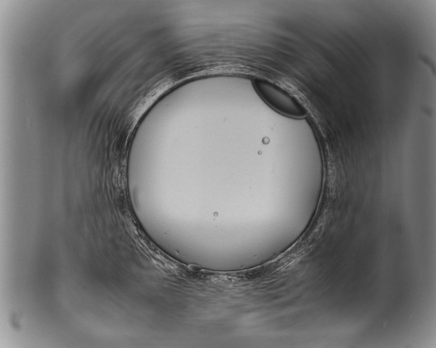 X0000100311097200806261156